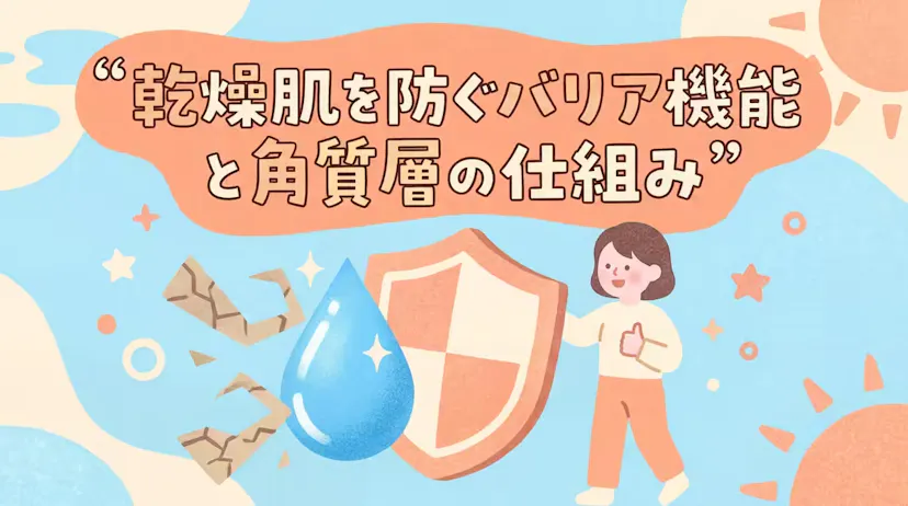 乾燥肌とは？肌のバリア機能と角質層の仕組みをわかりやすく解説のサムネイル