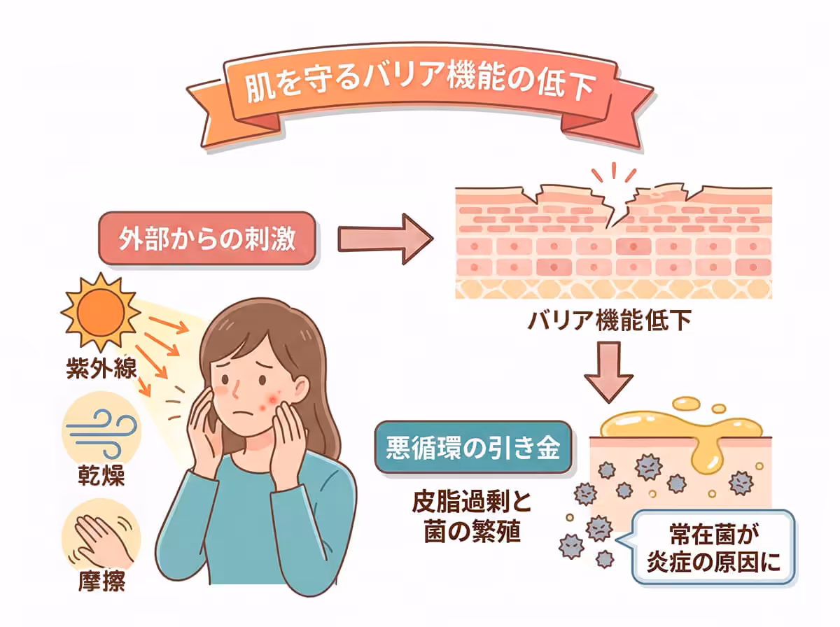 肌を守るバリア機能の低下