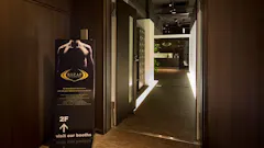 ライザップ (RIZAP) 川崎店の画像