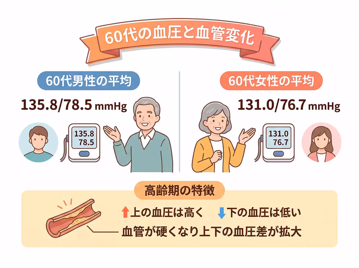 60代の血圧と血管変化