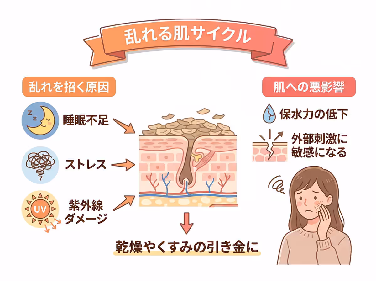 乱れる肌サイクル