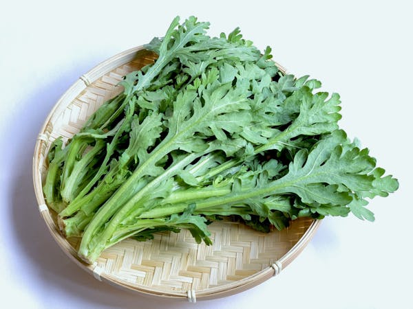 ザルにのった春菊