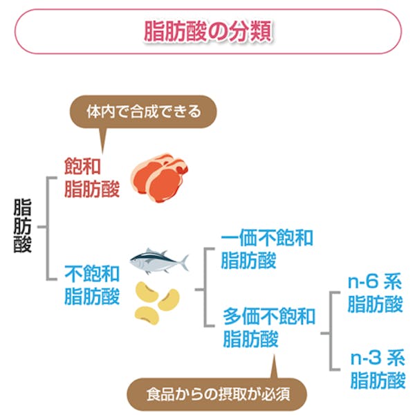 脂肪酸の分類図