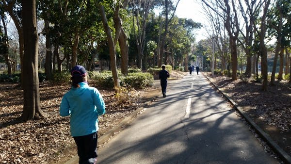 公園でジョギングをする人たち