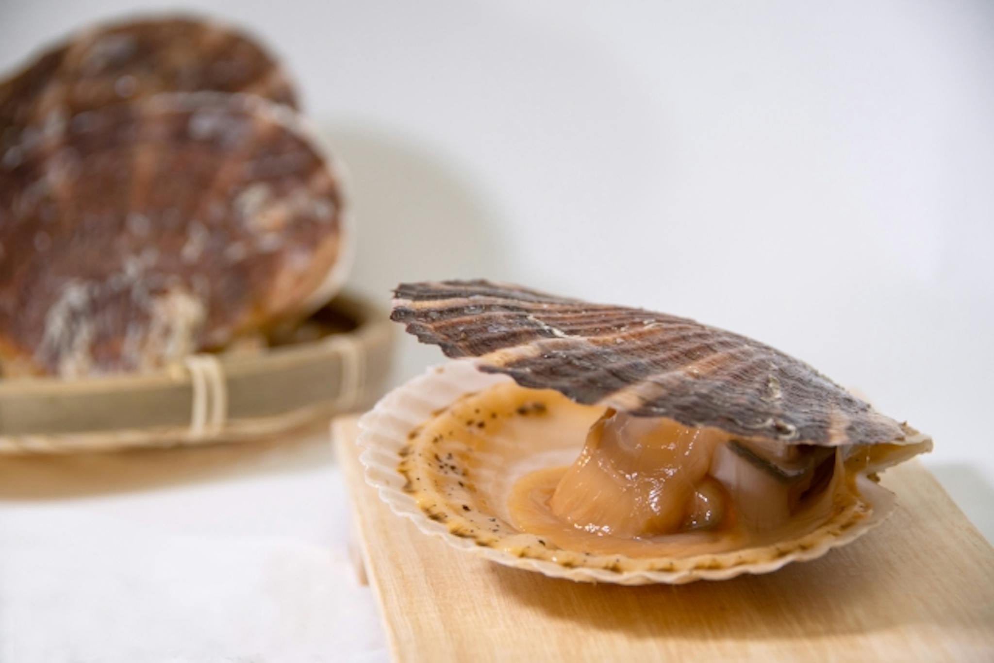 ほたてに含まれる栄養素や食品成分は？部位やさばき方についても解説のサムネイル