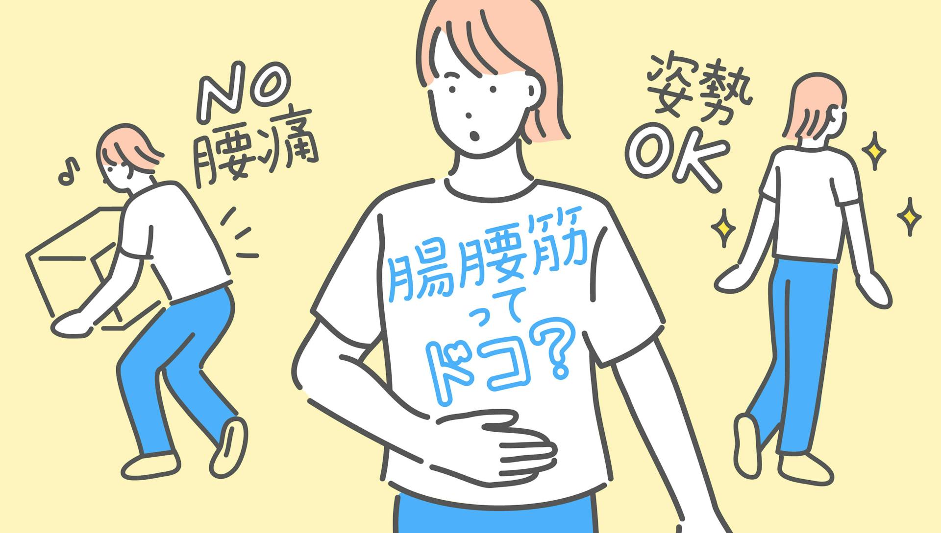腸腰筋はどこにある筋肉？ 効果的な筋トレとストレッチ方法も紹介！	のサムネイル