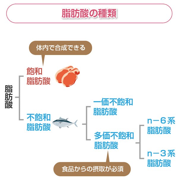 脂肪酸の種類