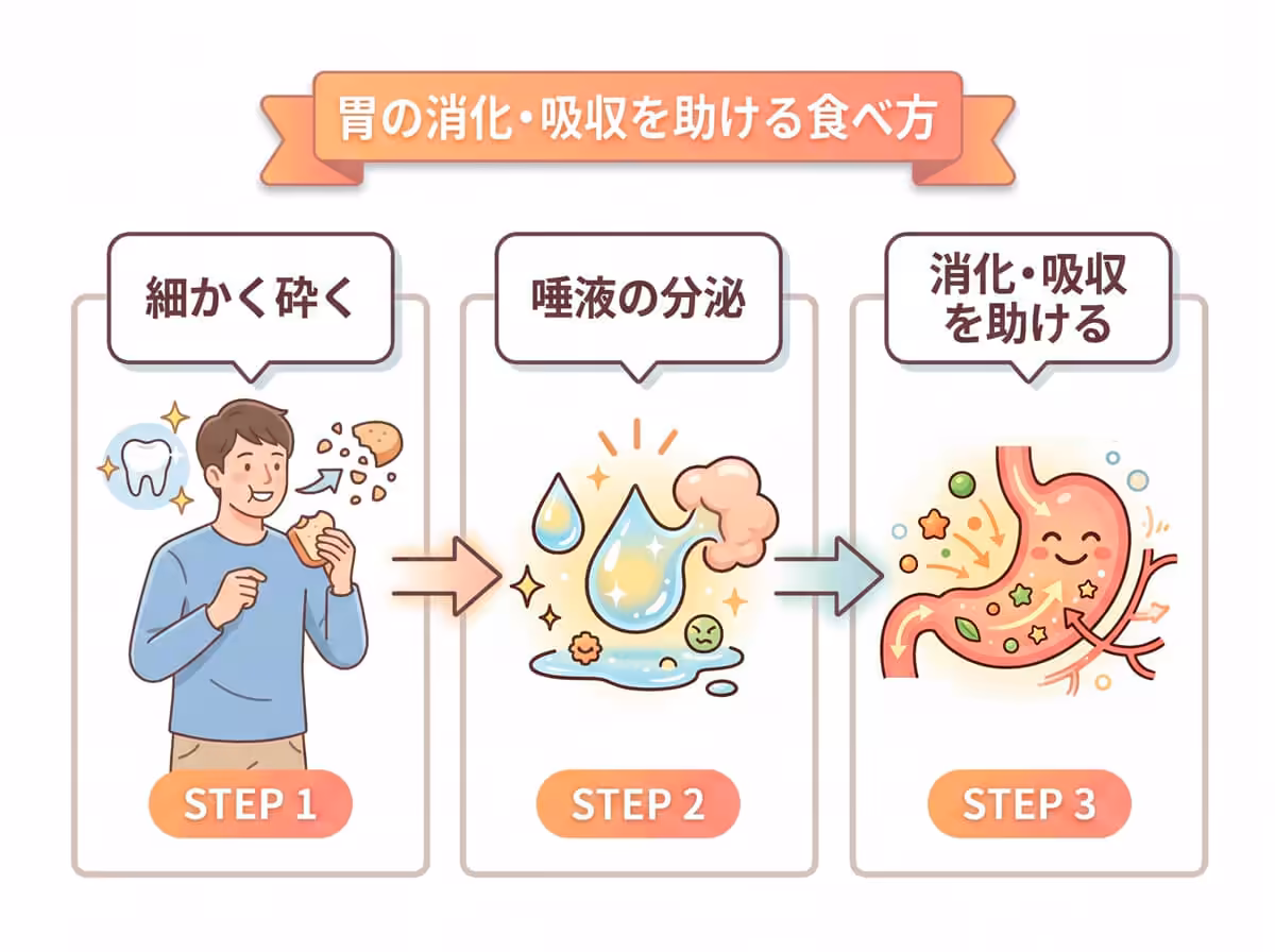 胃の消化・吸収を助ける食べ方
