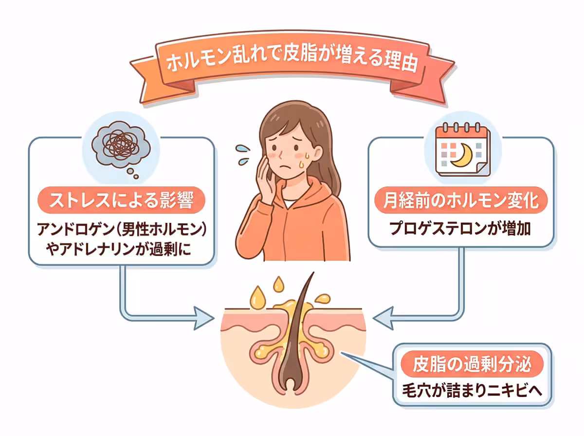 ホルモン乱れで皮脂が増える理由