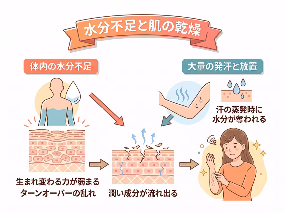 水分不足と肌の乾燥