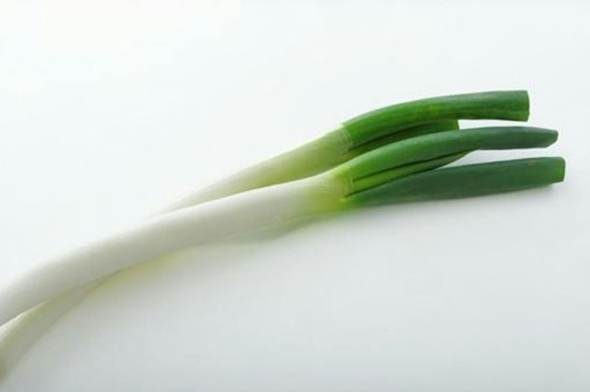 ねぎに含まれる栄養素とそのはたらきとは？選び方や保存方法も解説のサムネイル