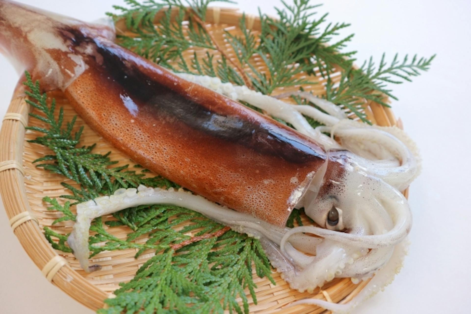 イカに含まれる栄養素とは？おいしく安全に食べるポイントも紹介のサムネイル