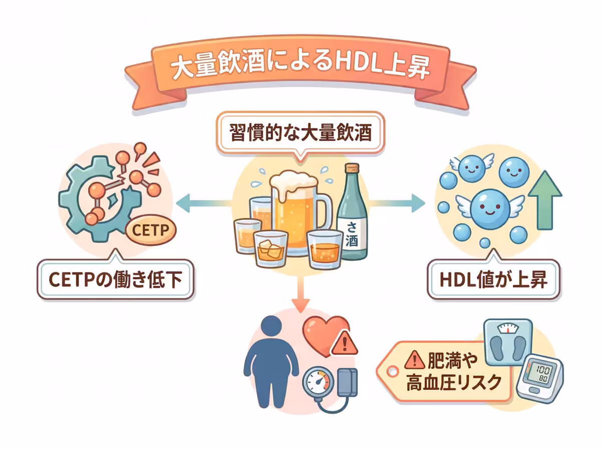 大量飲酒によるHDL上昇