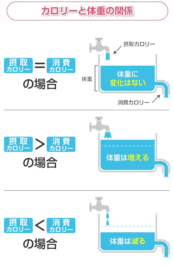 カロリーと体重の関係図