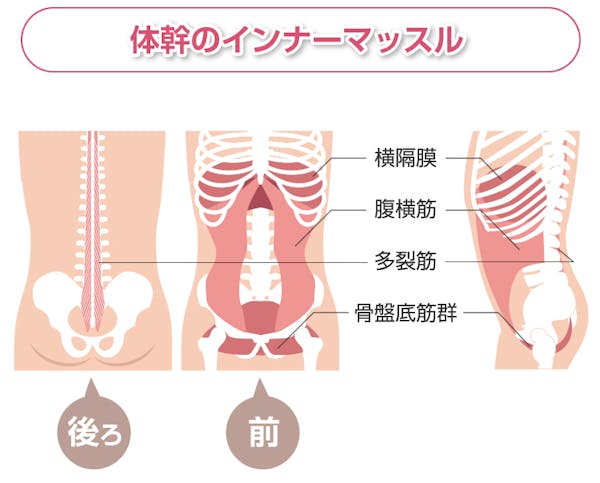 体幹のインナーマッスル