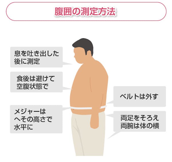 腹囲の測定方法