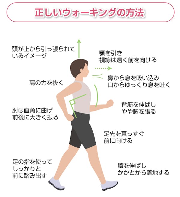正しいウォーキングの方法