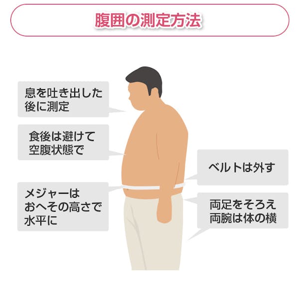 腹囲を測定する方法