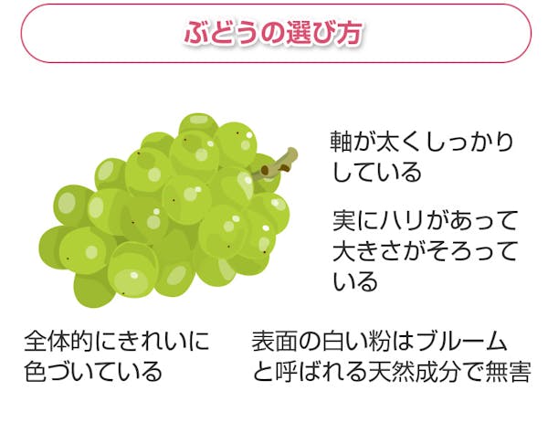 ぶどうの選び方