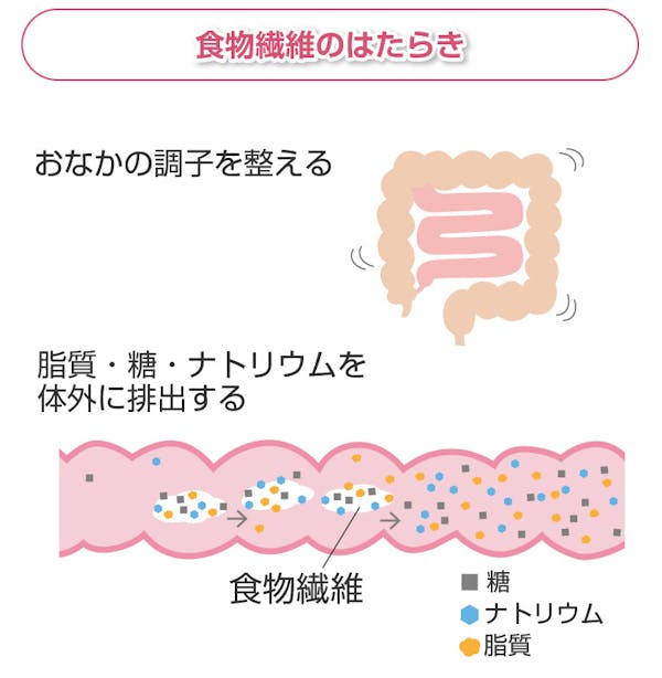 食物繊維のはたらき