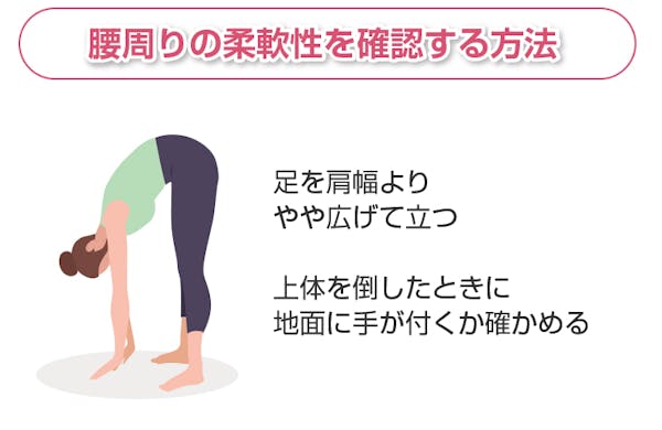 腰周りの柔軟性を確認する方法