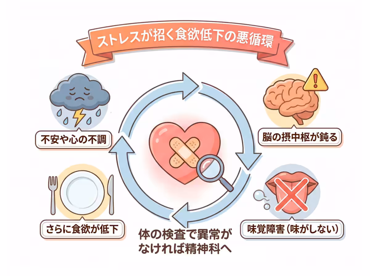 ストレスが招く食欲低下の悪循環
