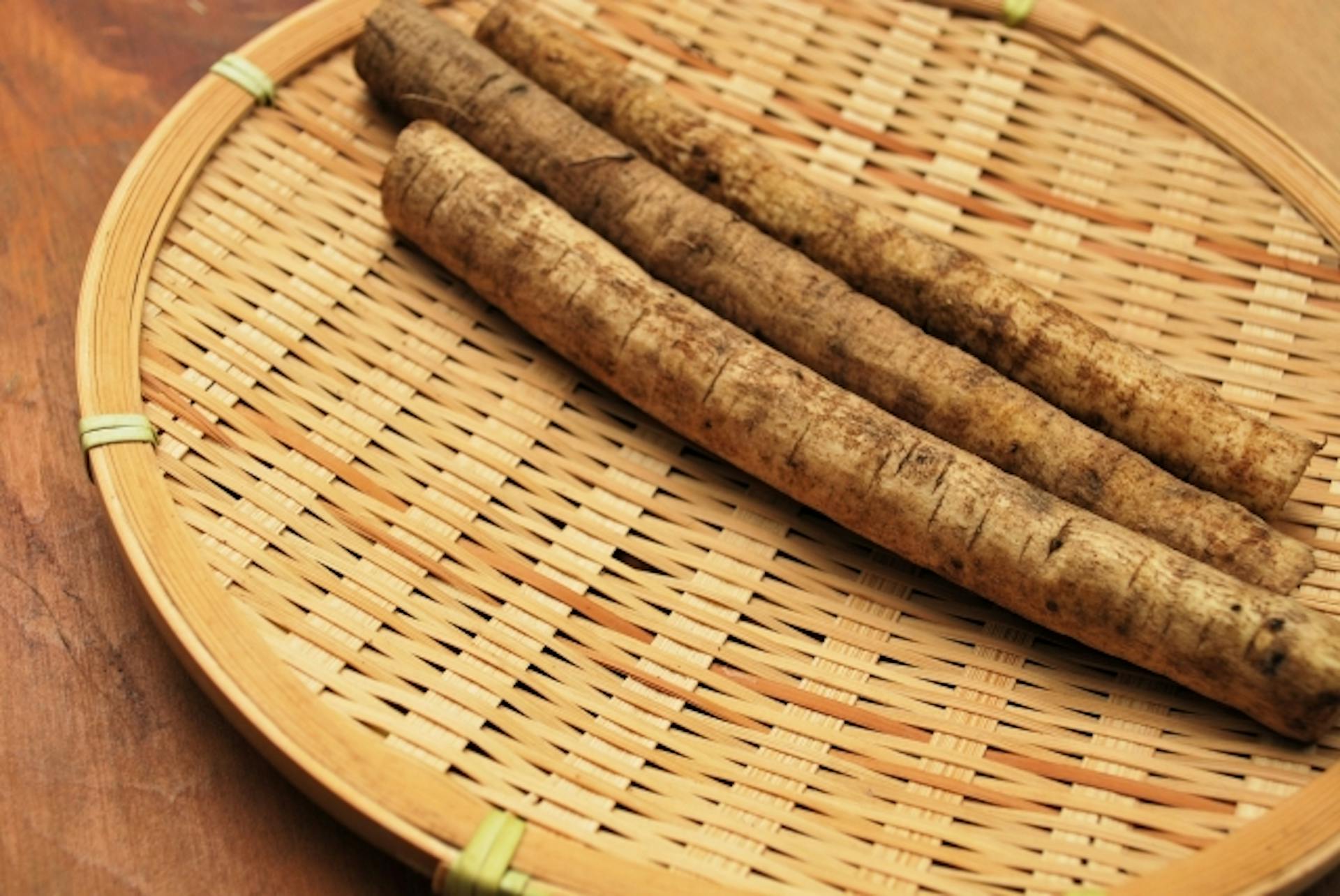 ごぼうに含まれる栄養素とは？選び方やおいしく食べるコツも紹介のサムネイル