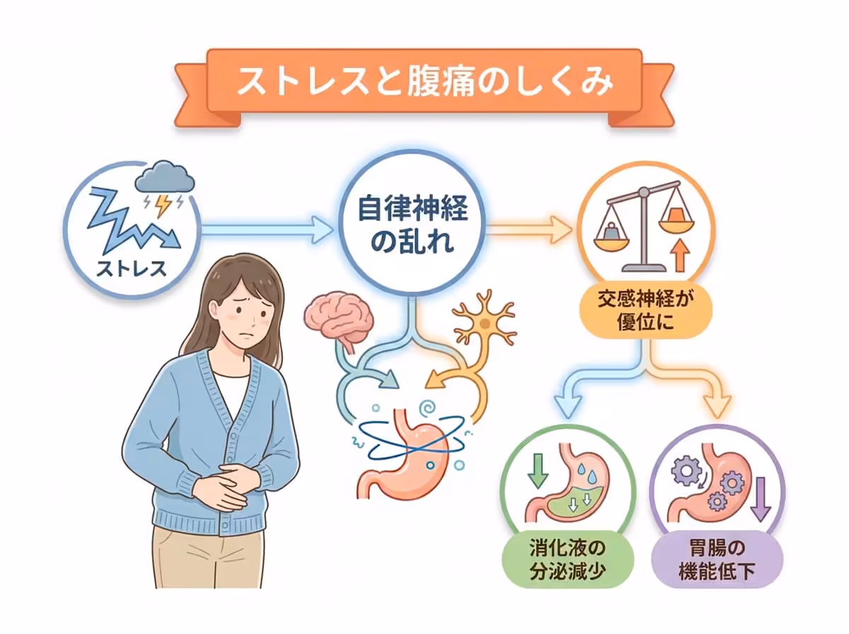 ストレスと腹痛のしくみ
