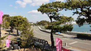 Titanium Fitness Gym 和歌山店の写真7