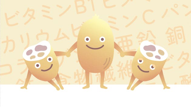 レンコンに含まれる栄養素とは？おいしく食べるポイントも紹介！