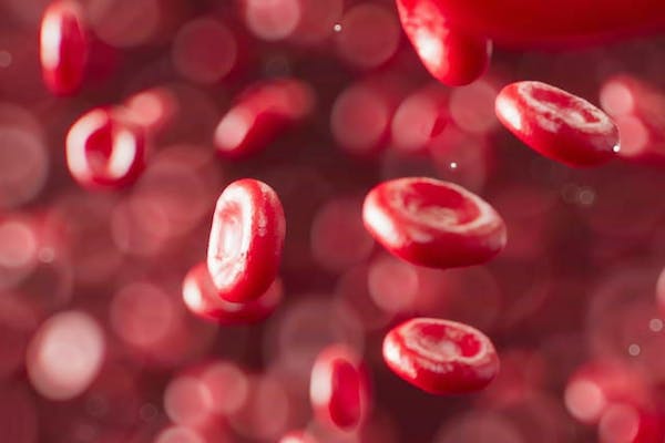 赤血球のイメージ画像
