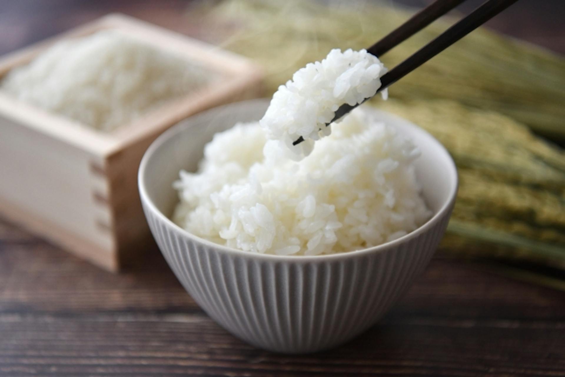 糖質と炭水化物の関係は？摂取目標量や摂取源となる食べ物も紹介のサムネイル