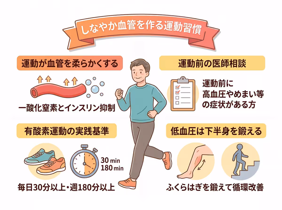しなやか血管を作る運動習慣
