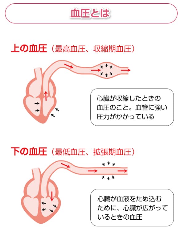 血圧の解説図