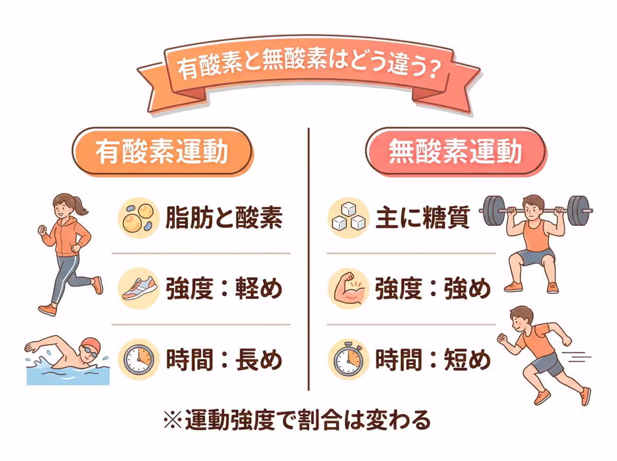 有酸素と無酸素はどう違う？