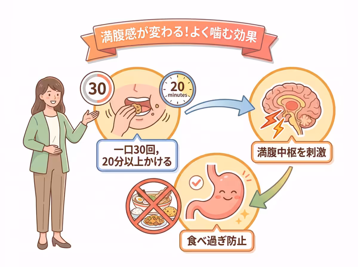 満腹感が変わる！よく噛む効果
