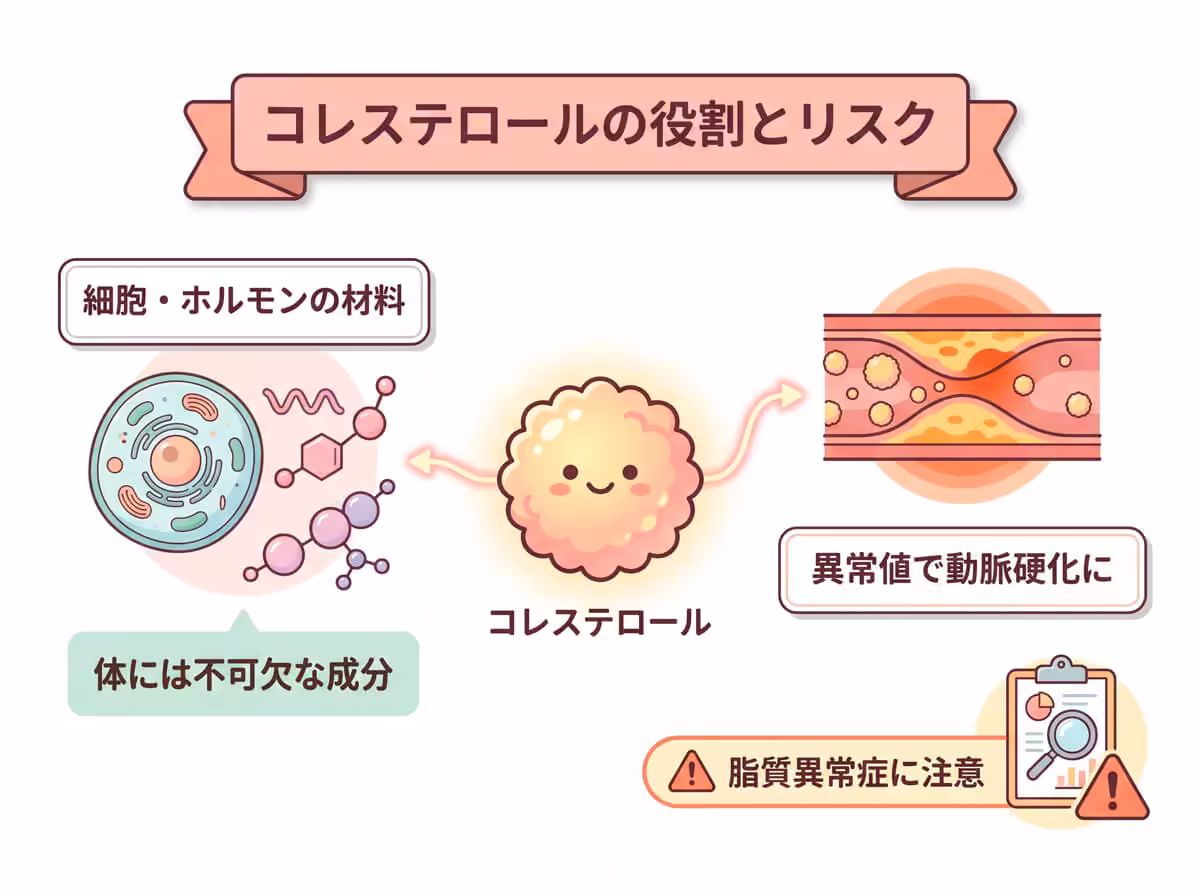 コレステロールの役割とリスク