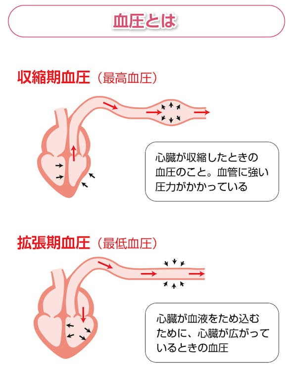 血圧の解説図