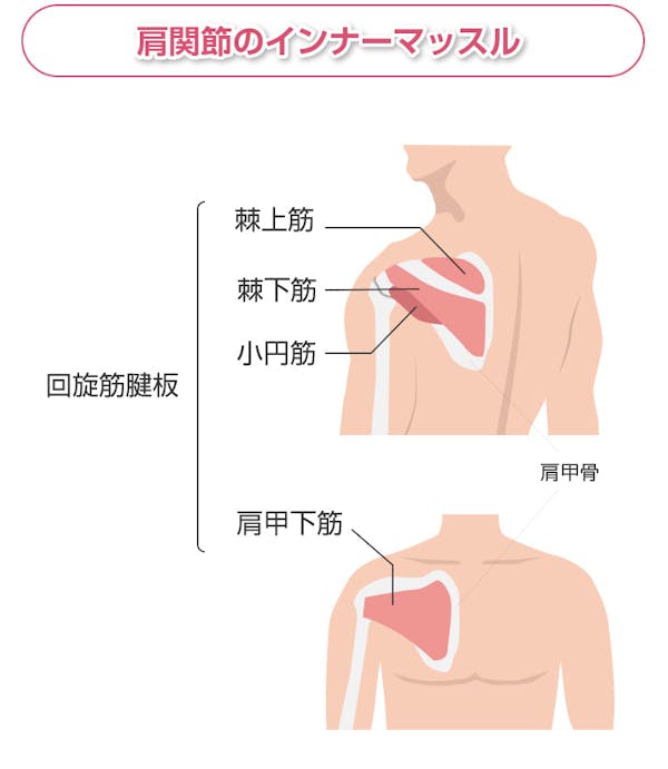 肩関節のインナーマッスル