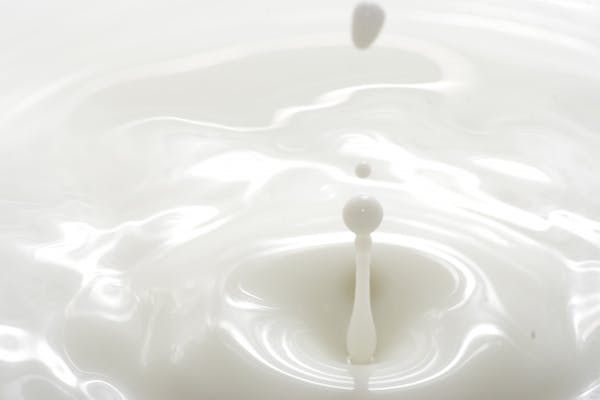 牛乳の波紋