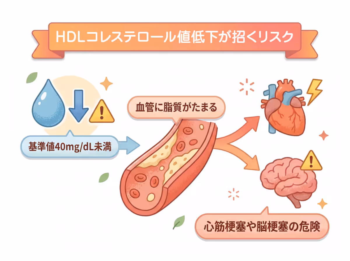 HDLコレステロール値低下が招くリスク