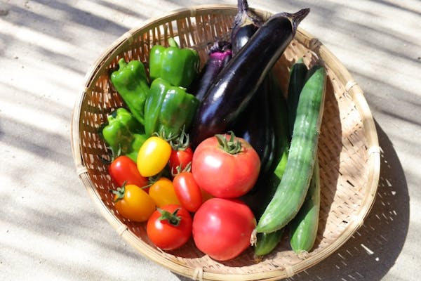 トマトやなすの野菜