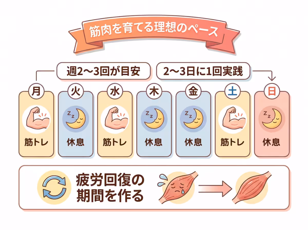 筋肉を育てる理想のペース