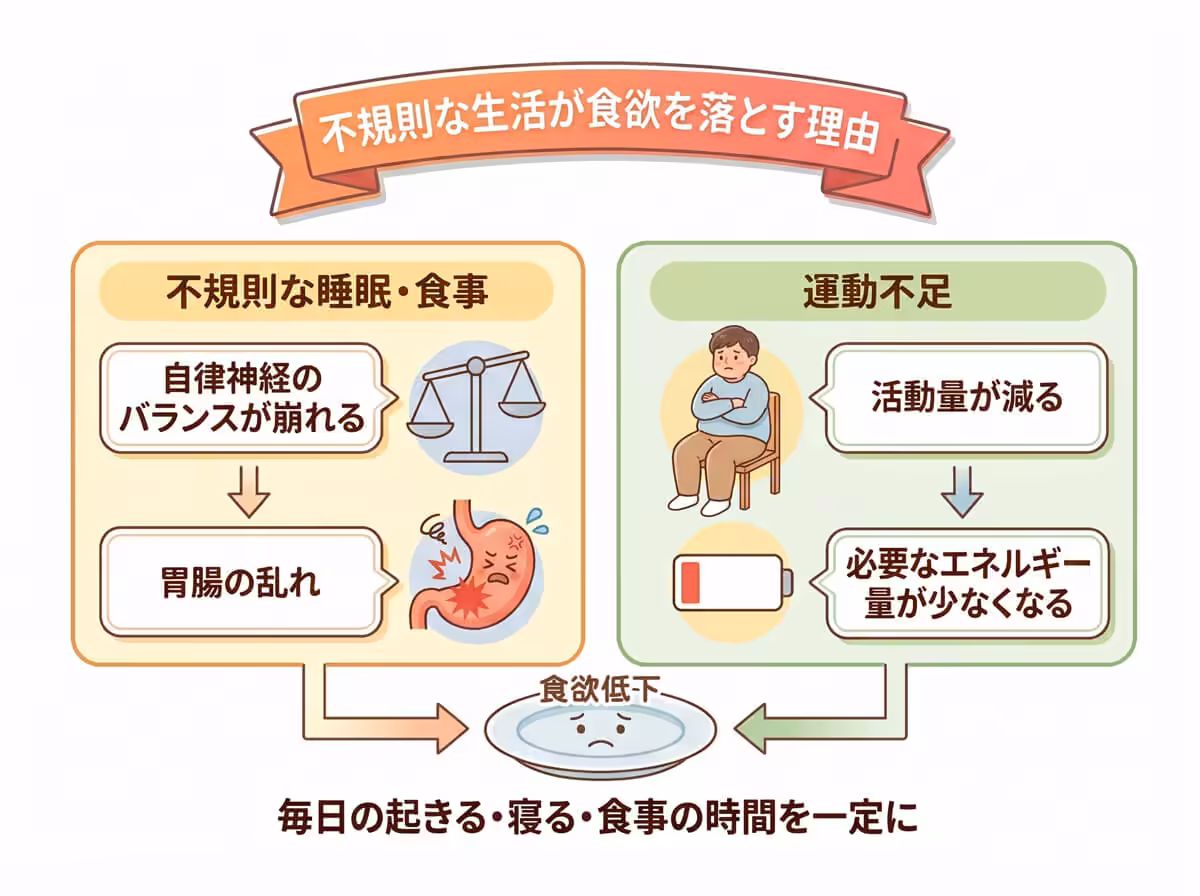 不規則な生活が食欲を落とす理由