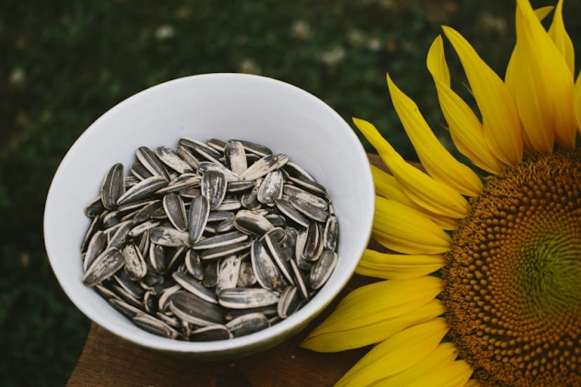 ひまわりの種に含まれる栄養素は？カロリーや適量についても解説のサムネイル