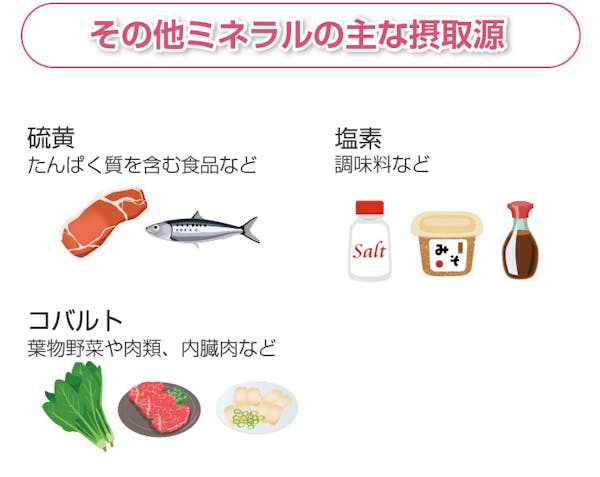 その他のミネラルの摂取源