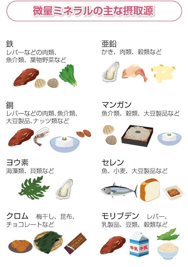 微量ミネラルの摂取源