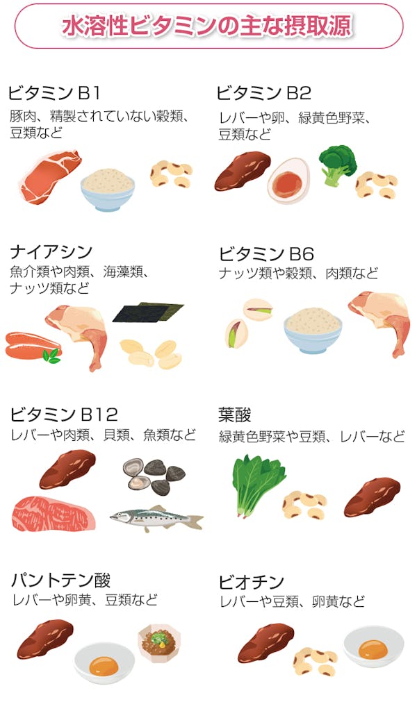 水溶性ビタミンの主な摂取源