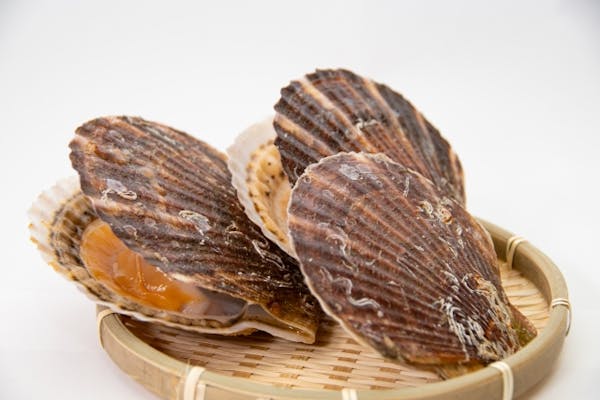 ざるにのったホタテ