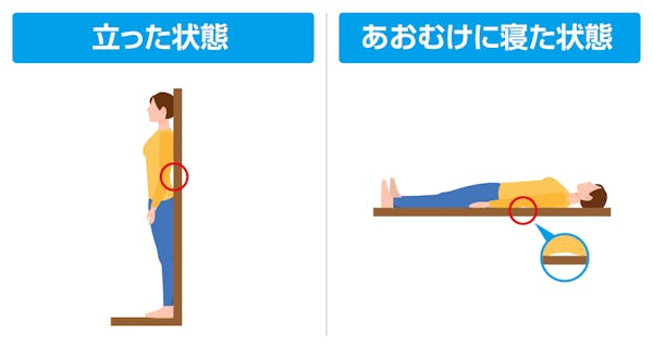 反り腰のセルフチェック